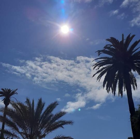 Meet your Posher, Jessie - Picture 1 of 1